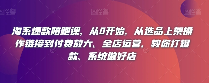 淘系爆款陪跑课，从0开始，从选品上架操作链接到付费放大、全店运营，教你打爆款、系统做好店 - 网赚资源网-网赚资源网