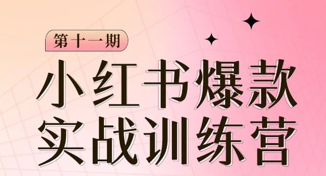 小红书博主爆款训练营第11期，手把手教你从0-1做小红书，从定位到起号到变现 - 网赚资源网-网赚资源网