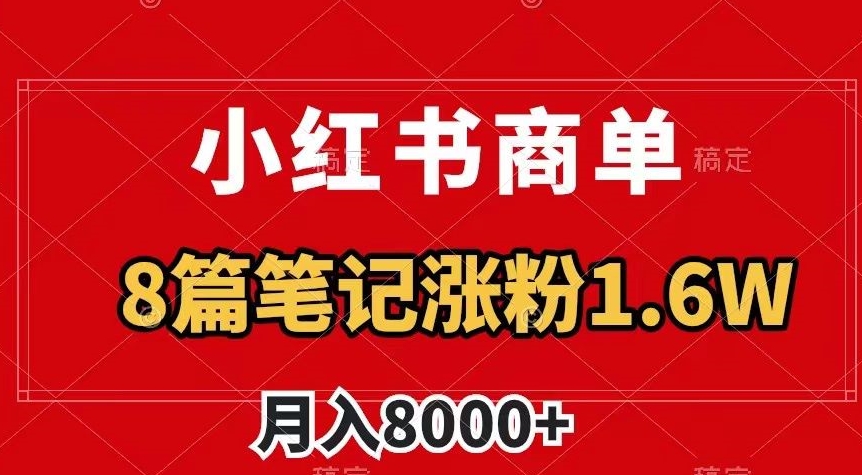 小红书商单最新玩法，8篇笔记涨粉1.6w，作品制作简单，月入8000+【揭秘】 - 网赚资源网-网赚资源网