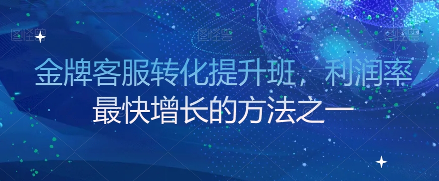 金牌客服转化提升班，利润率最快增长的方法之一 - 网赚资源网-网赚资源网