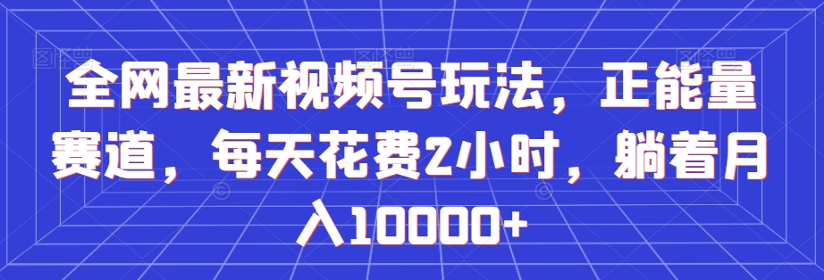 全网最新视频号玩法，正能量赛道，每天花费2小时，躺着月入10000+【揭秘】 - 网赚资源网-网赚资源网