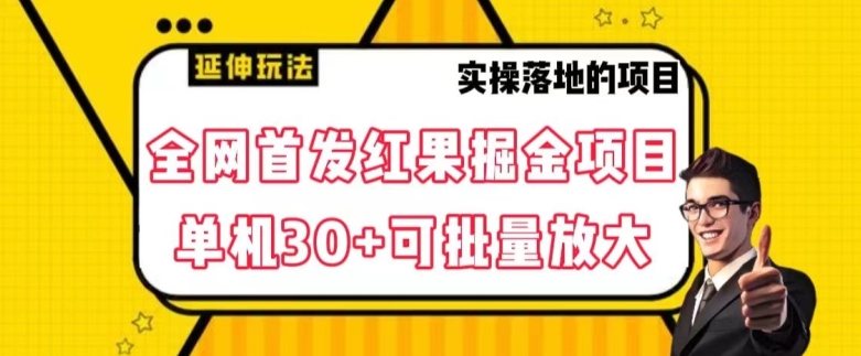 全网首发红果免费短剧掘金项目，单机30+可批量放大【揭秘】 - 网赚资源网-网赚资源网