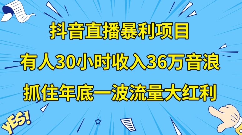 抖音直播暴利项目，有人30小时收入36万音浪，公司宣传片年会视频制作，抓住年底一波流量大红利【揭秘】 - 网赚资源网-网赚资源网