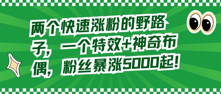 两个快速涨粉的野路子，一个特效+神奇布偶，粉丝暴涨5000起【揭秘】 - 网赚资源网-网赚资源网