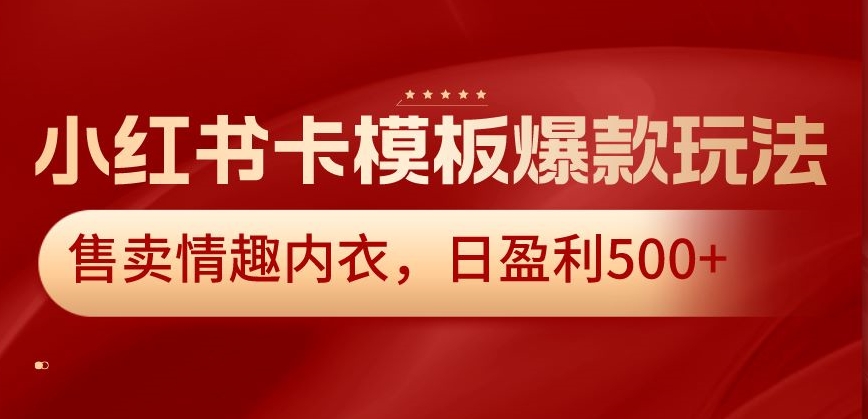 小红书卡模板爆款玩法，售卖情趣内衣，日盈利500+【揭秘】 - 网赚资源网-网赚资源网