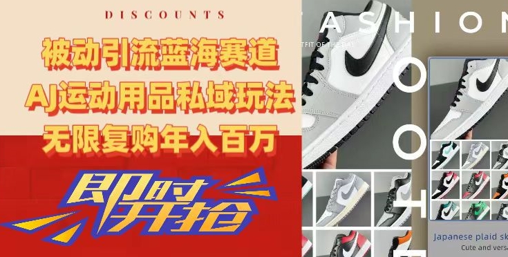 被动引流蓝海赛道，AJ运动用品私域玩法，无限复购年入百万【揭秘】 - 网赚资源网-网赚资源网
