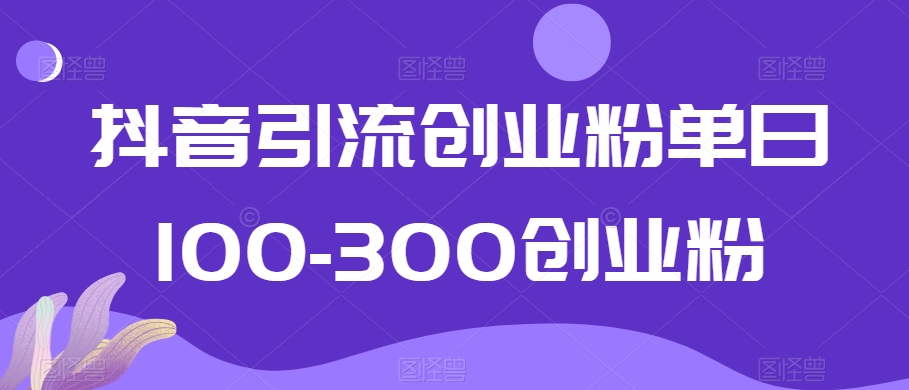 抖音引流创业粉单日100-300创业粉【揭秘】 - 网赚资源网-网赚资源网