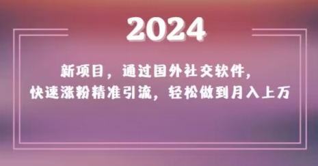 2024新项目，通过国外社交软件，快速涨粉精准引流，轻松做到月入上万【揭秘】 - 网赚资源网-网赚资源网