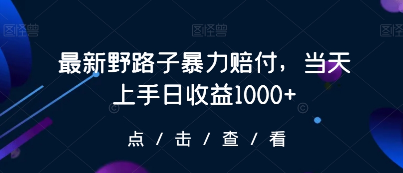 最新野路子暴力赔付，当天上手日收益1000+【仅揭秘】 - 网赚资源网-网赚资源网