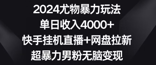 2024尤物暴力玩法，单日收入4000+，快手挂机直播+网盘拉新，超暴力男粉无脑变现【揭秘】 - 网赚资源网-网赚资源网