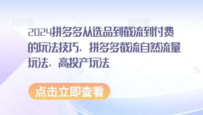 2024拼多多从选品到截流到付费的玩法技巧，拼多多截流自然流量玩法，高投产玩法 - 网赚资源网-网赚资源网