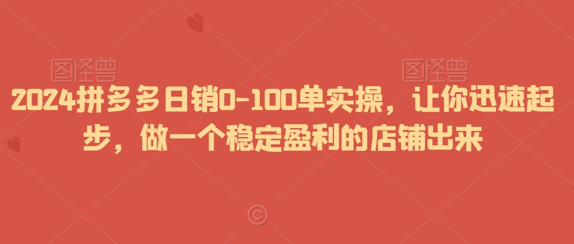 2024拼多多日销0-100单实操，让你迅速起步，做一个稳定盈利的店铺出来 - 网赚资源网-网赚资源网