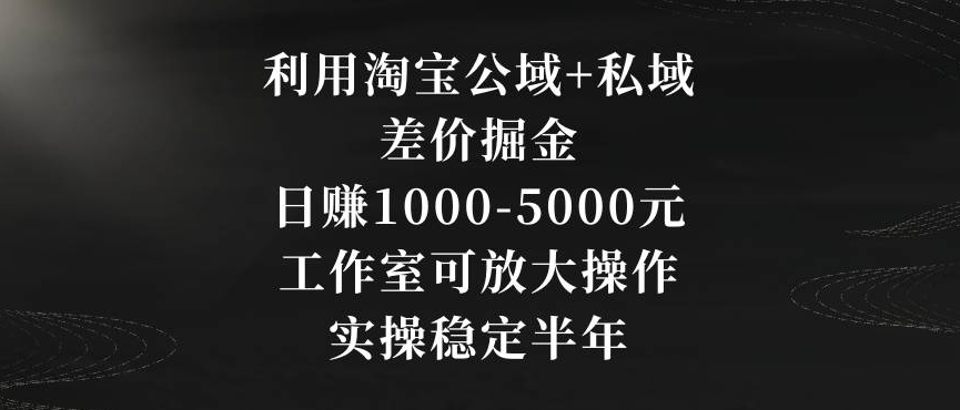 利用淘宝公域+私域差价掘金，日赚1000-5000元，工作室可放大操作，实操稳定半年【揭秘】 - 网赚资源网-网赚资源网