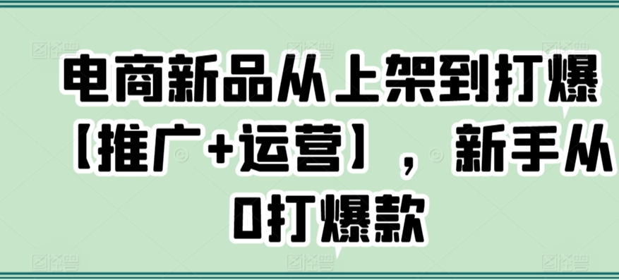 电商新品从上架到打爆【推广+运营】，新手从0打爆款 - 网赚资源网-网赚资源网