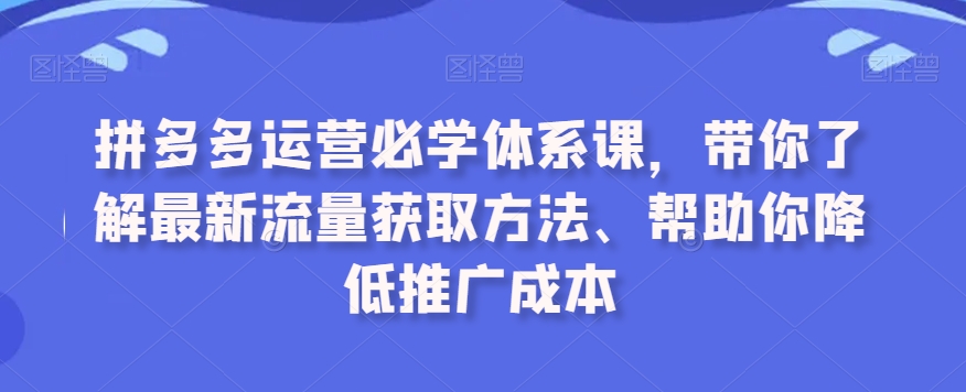 拼多多运营必学体系课，带你了解最新流量获取方法、帮助你降低推广成本 - 网赚资源网-网赚资源网