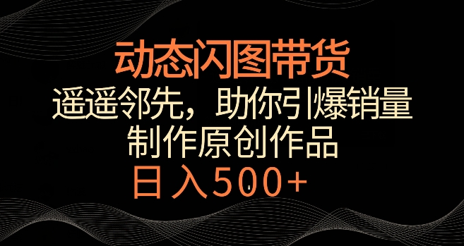 动态闪图带货，遥遥领先，冷门玩法，助你轻松引爆销量，日赚500+【揭秘】 - 网赚资源网-网赚资源网