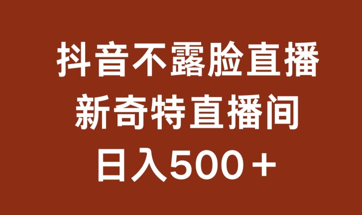 不露脸挂机直播，新奇特直播间，日入500+【揭秘】 - 网赚资源网-网赚资源网