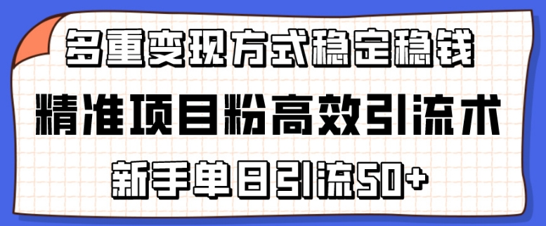 精准项目粉高效引流术，新手单日引流50+，多重变现方式稳定赚钱【揭秘】 - 网赚资源网-网赚资源网