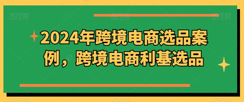 2024年跨境电商选品案例，跨境电商利基选品 - 网赚资源网-网赚资源网