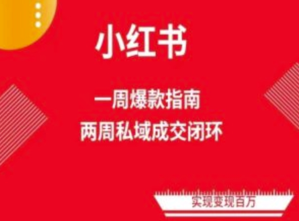 爆款小红书免费流量体系课程(两周变现)，小红书电商教程 - 网赚资源网-网赚资源网