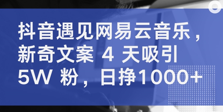 抖音遇见网易云音乐，新奇文案 4 天吸引 5W 粉，日挣1000+【揭秘】 - 网赚资源网-网赚资源网