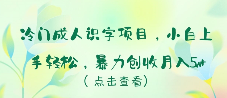 冷门成人识字项目，小白上手轻松，暴力创收月入5w+【揭秘】 - 网赚资源网-网赚资源网