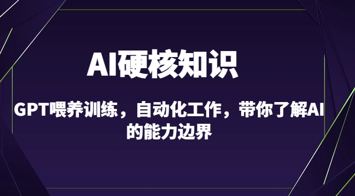 AI硬核知识-GPT喂养训练，自动化工作，带你了解AI的能力边界（10节课） - 网赚资源网-网赚资源网