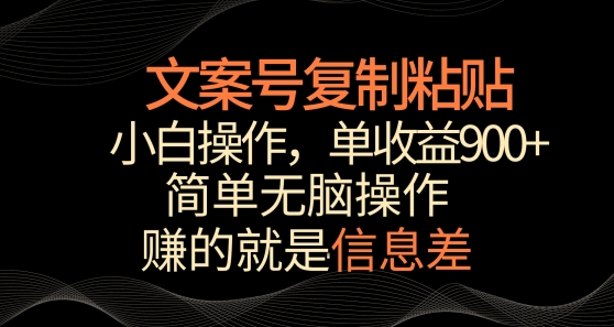 文案号掘金，简单复制粘贴，小白操作，单作品收益900+【揭秘】 - 网赚资源网-网赚资源网