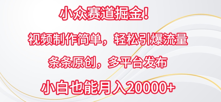 小众赛道掘金，视频制作简单，轻松引爆流量，条条原创，多平台发布【揭秘】 - 网赚资源网-网赚资源网