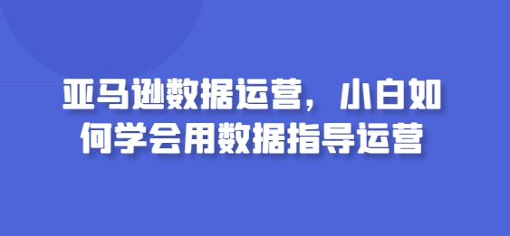 亚马逊数据运营，小白如何学会用数据指导运营 - 网赚资源网-网赚资源网