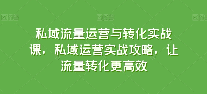 私域流量运营与转化实战课，私域运营实战攻略，让流量转化更高效 - 网赚资源网-网赚资源网