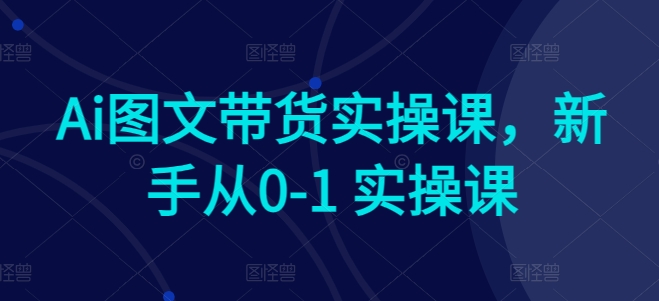 Ai图文带货实操课，新手从0-1 实操课 - 网赚资源网-网赚资源网