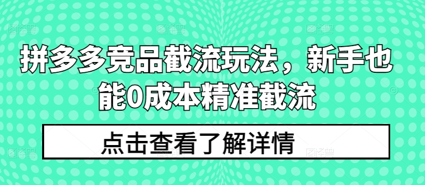 拼多多竞品截流玩法，新手也能0成本精准截流 - 网赚资源网-网赚资源网