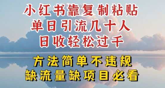 小红书靠复制粘贴单日引流几十人目收轻松过千，方法简单不违规【揭秘】 - 网赚资源网-网赚资源网