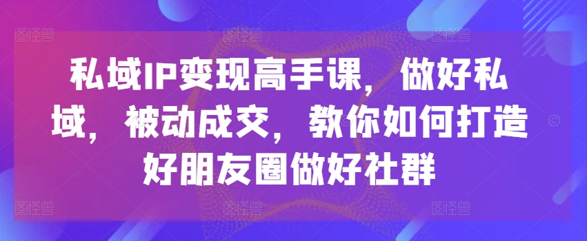 私域IP变现高手课，做好私域，被动成交，教你如何打造好朋友圈做好社群 - 网赚资源网-网赚资源网