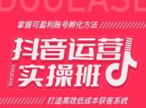 抖音运营实操班，掌握可盈利账号孵化方法，打造高效低成本获客系统 - 网赚资源网-网赚资源网