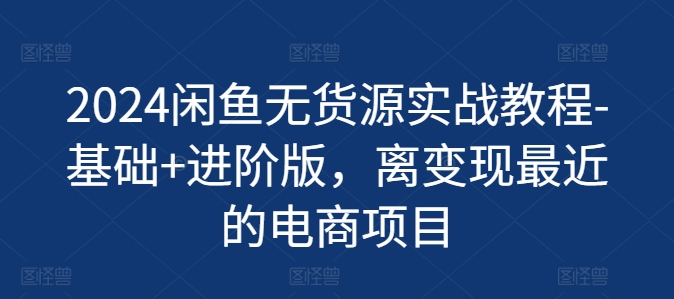 2024闲鱼无货源实战教程-基础+进阶版，离变现最近的电商项目 - 网赚资源网-网赚资源网