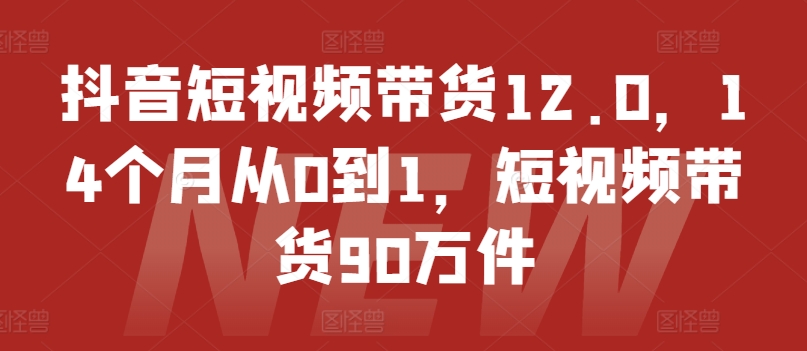 抖音短视频带货12.0，14个月从0到1，短视频带货90万件 - 网赚资源网-网赚资源网