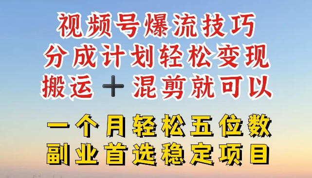 视频号爆流技巧，分成计划轻松变现，搬运 +混剪就可以，一个月轻松五位数稳定项目【揭秘】 - 网赚资源网-网赚资源网