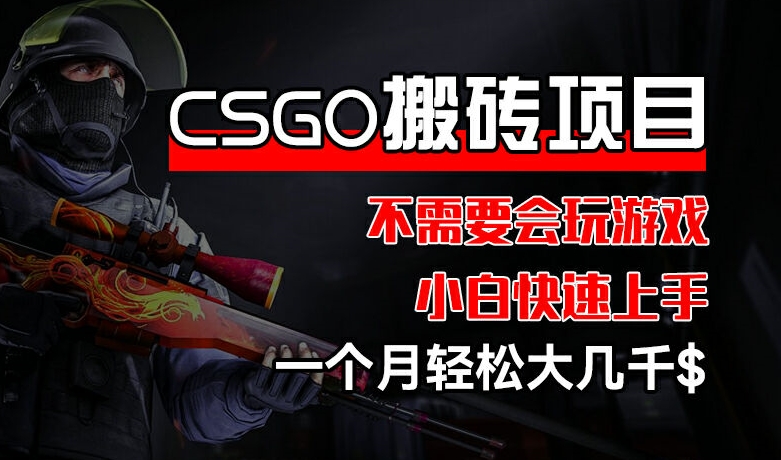 CSGO 装备搬砖项目，操作简单，不需要会玩游戏，小白也能快速上手，一个月轻松大几千【揭秘】 - 网赚资源网-网赚资源网