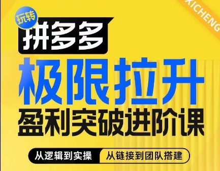 拼多多极限拉升盈利突破进阶课，​从算法到玩法，从玩法到团队搭建，体系化系统性帮助商家实现利润提升 - 网赚资源网-网赚资源网