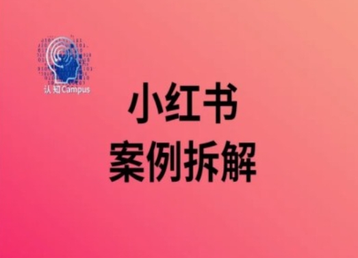 小红书案例拆解，深度解读小红书40万粉 - 网赚资源网-网赚资源网