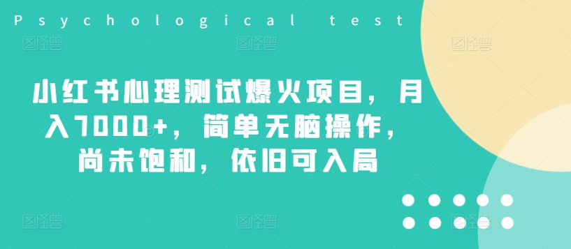 小红书心理测试爆火项目，月入7000+，简单无脑操作，尚未饱和，依旧可入局 - 网赚资源网-网赚资源网