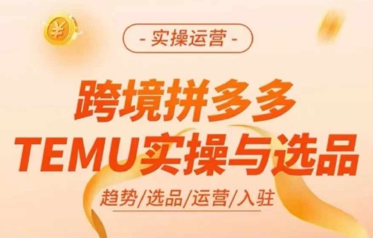 跨境拼多多TEMU实操与选品，多多temu跨境选品运营实操 - 网赚资源网-网赚资源网