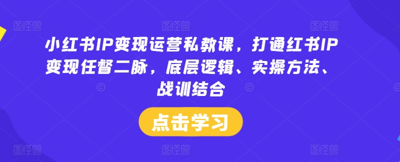 小红书IP变现运营私教课，打通红书IP变现任督二脉，底层逻辑、实操方法、战训结合 - 网赚资源网-网赚资源网