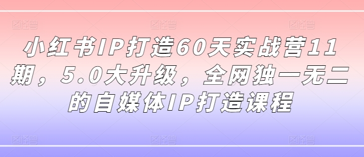 小红书IP打造60天实战营11期，5.0大升级，全网独一无二的自媒体IP打造课程 - 网赚资源网-网赚资源网