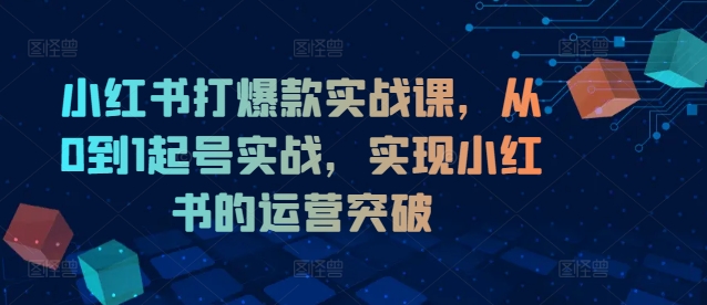 小红书打爆款实战课，从0到1起号实战，实现小红书的运营突破 - 网赚资源网-网赚资源网