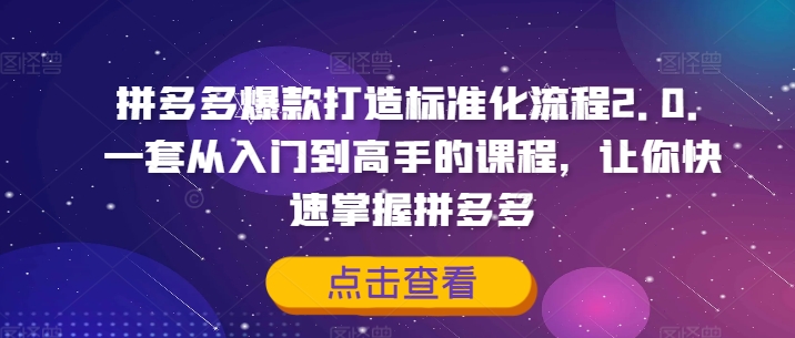 拼多多爆款打造标准化流程2.0，一套从入门到高手的课程，让你快速掌握拼多多 - 网赚资源网-网赚资源网