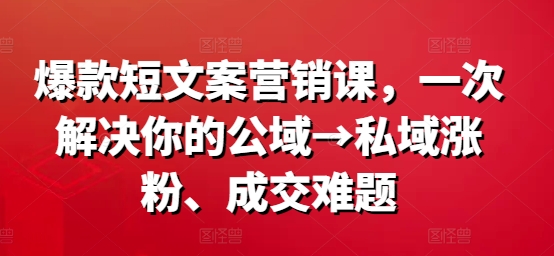 爆款短文案营销课，一次解决你的公域→私域涨粉、成交难题 - 网赚资源网-网赚资源网