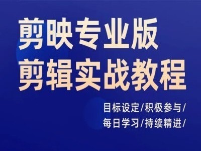 剪映专业版剪辑实战教程，目标设定/积极参与/每日学习/持续精进 - 网赚资源网-网赚资源网